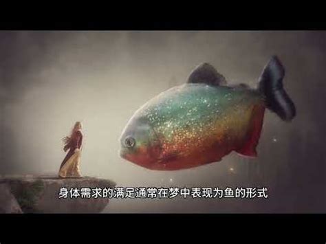 夢見魚缸很多魚號碼